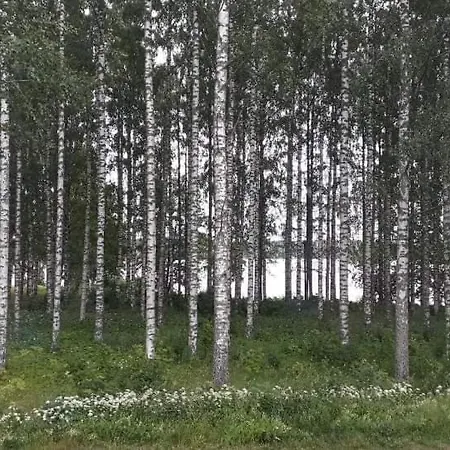 Studio Mummola